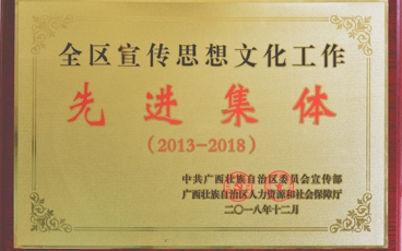 全区宣传思想文化工作先进集体（2013—2018）